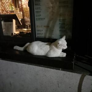 男朋友扒开我小泬添我
