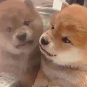 男朋友扒开我小泬添我
